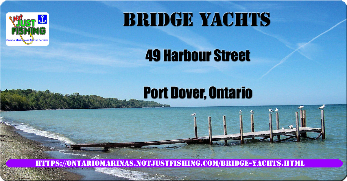 bridge yachts port dover